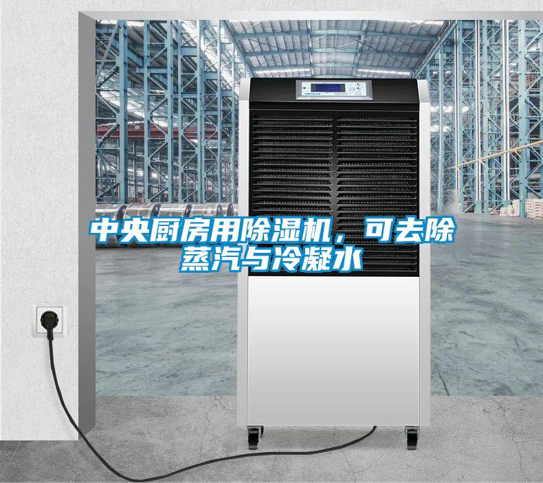 欧美成色手机在线观看 中央厨房用除湿机，可去除蒸汽与冷凝水