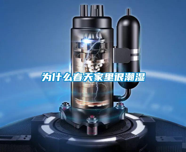 欧美黄色性爱视频网站 为什么春天家里很潮湿