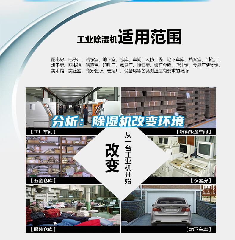欧美成色手机在线观看 分析：除湿机改变环境