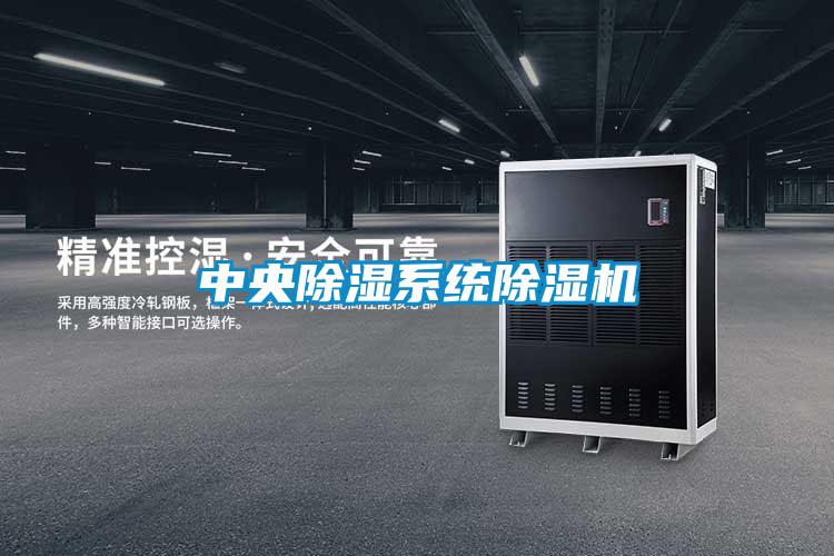 欧美成色手机在线观看 中央除湿系统除湿机