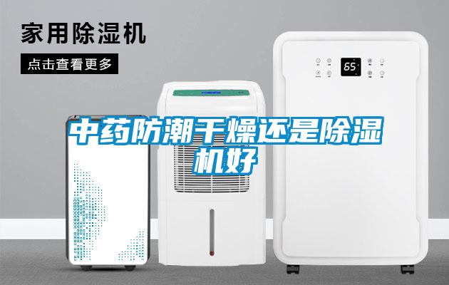 欧美黄色性爱视频网站 中药防潮干燥还是除湿机好