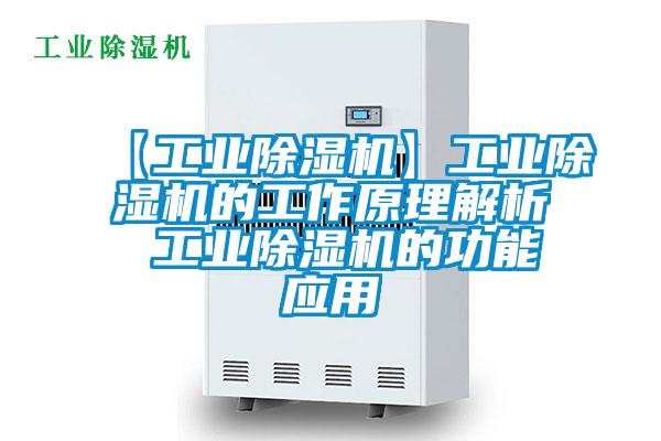 欧美成色手机在线观看 【工业除湿机】工业除湿机的工作原理解析 工业除湿机的功能应用