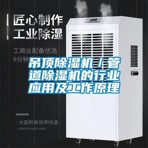 欧美黄色性爱视频网站 吊顶除湿机／管道除湿机的行业应用及工作原理