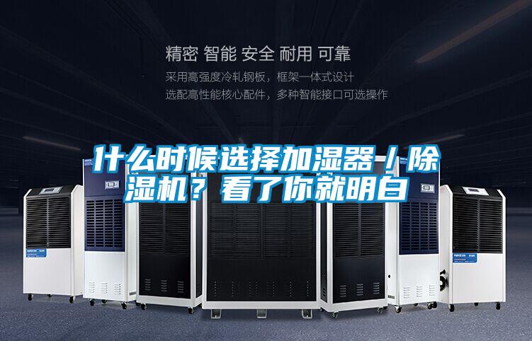 欧美黄色性爱视频网站 什么时候选择加湿器／除湿机？看了你就明白
