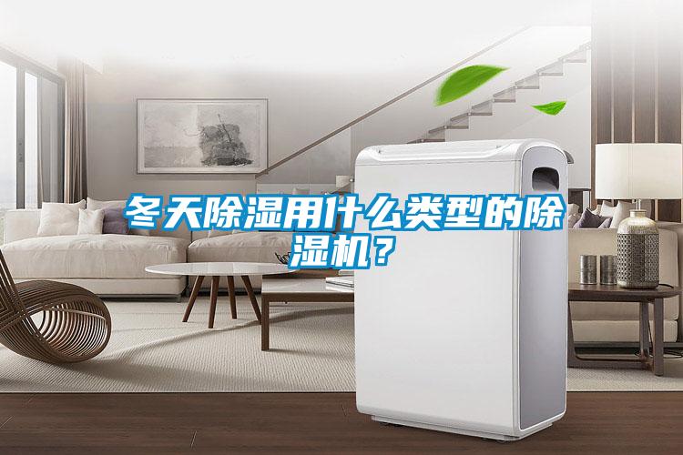 欧美黄色性爱视频网站 冬天除湿用什么类型的除湿机？