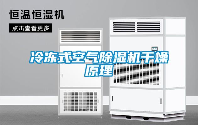 欧美成色手机在线观看 冷冻式空气除湿机干燥原理