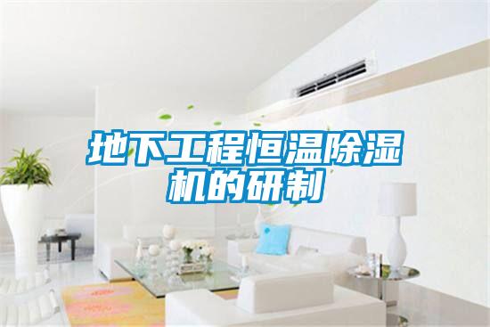 欧美黄色性爱视频网站 地下工程恒温除湿机的研制