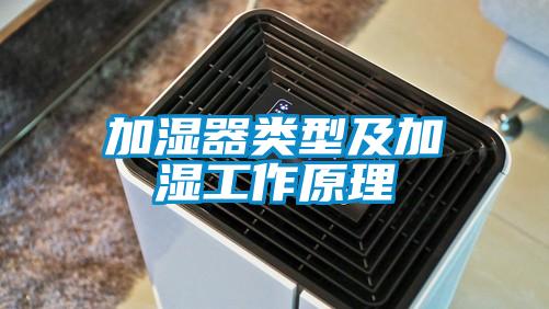 欧美黄色电影在线播放 加湿器类型及加湿工作原理