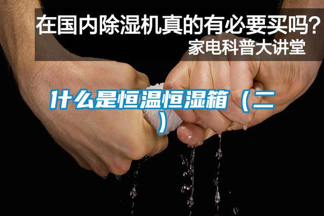 欧美成色手机在线观看 什么是恒温恒湿箱（二)