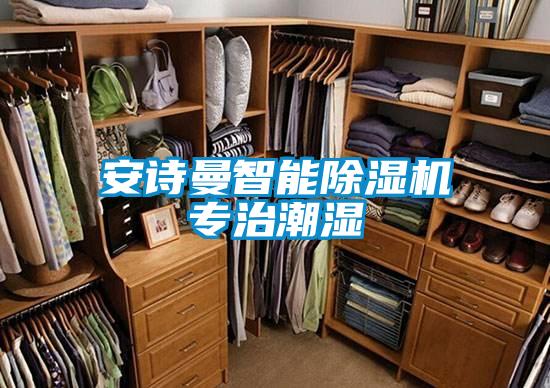欧美黄色电影在线播放 安诗曼智能除湿机专治潮湿
