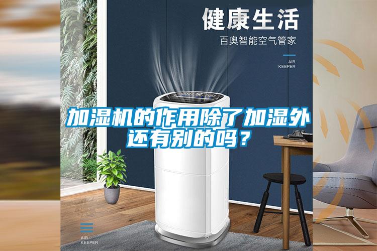 欧美成色手机在线观看 加湿机的作用除了加湿外还有别的吗？