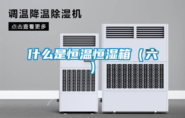 欧美黄色性爱视频网站 什么是恒温恒湿箱（六)