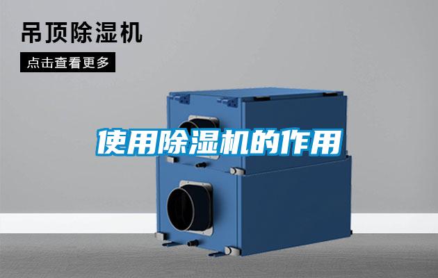欧美黄色电影在线播放 使用除湿机的作用