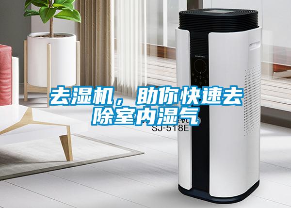 欧美黄色性爱视频网站 去湿机，助你快速去除室内湿气