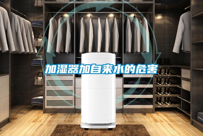 欧美黄色电影在线播放 加湿器加自来水的危害