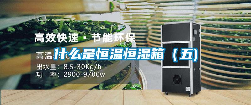 欧美黄色电影在线播放 什么是恒温恒湿箱（五)