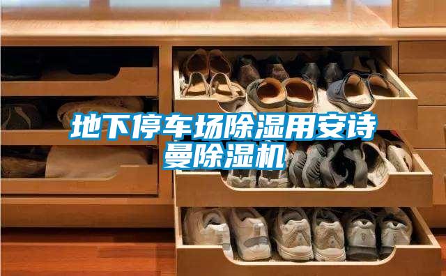 欧美黄色电影在线播放 地下停车场除湿用安诗曼除湿机