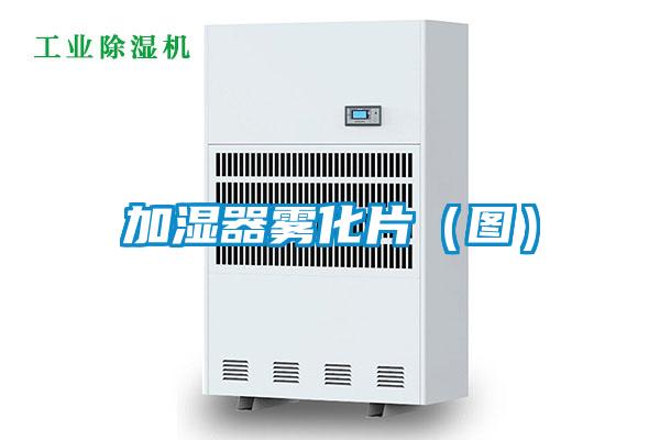 欧美黄色电影在线播放 加湿器雾化片（图）