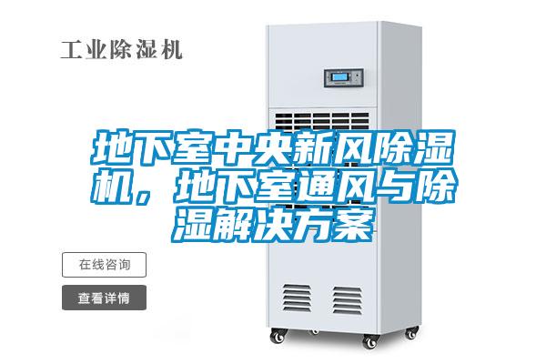 欧美黄色性爱视频网站 地下室中央新风除湿机，地下室通风与除湿解决方案