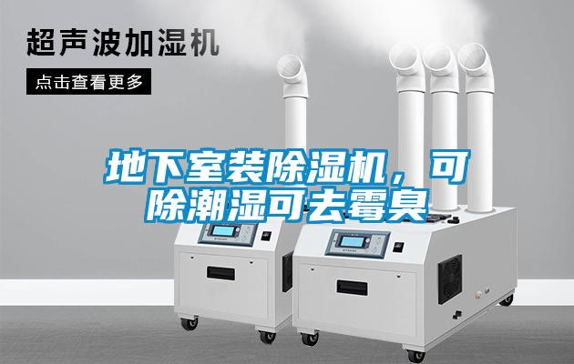 欧美成色手机在线观看 地下室装除湿机，可除潮湿可去霉臭