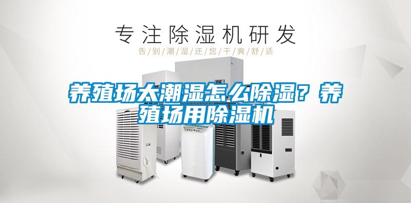 欧美成色手机在线观看 养殖场太潮湿怎么除湿？养殖场用除湿机