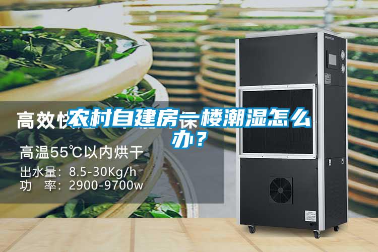 欧美成色手机在线观看 农村自建房一楼潮湿怎么办？
