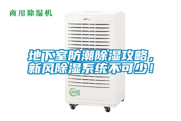 欧美成色手机在线观看 地下室防潮除湿攻略，新风除湿系统不可少！