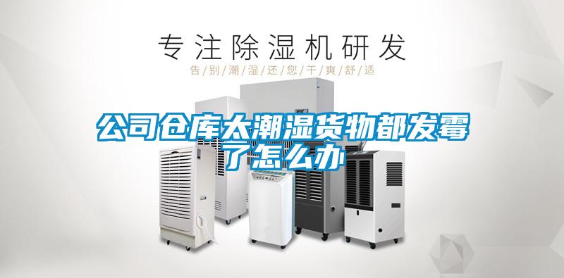 欧美黄色性爱视频网站 公司仓库太潮湿货物都发霉了怎么办