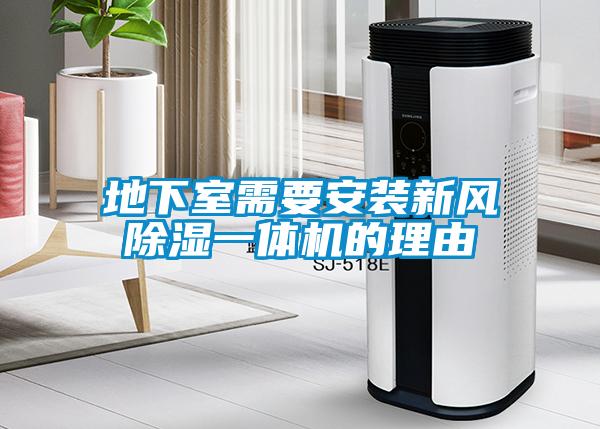 地下室需要安装新风除湿一体机的理由