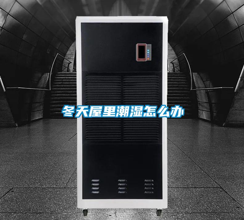 欧美黄色电影在线播放 冬天屋里潮湿怎么办