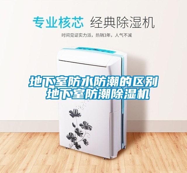 欧美黄色性爱视频网站 地下室防水防潮的区别 地下室防潮除湿机