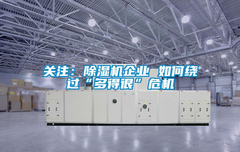 欧美成色手机在线观看 关注：除湿机企业 如何绕过“多得很”危机