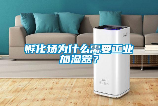 欧美黄色电影在线播放 孵化场为什么需要工业加湿器？