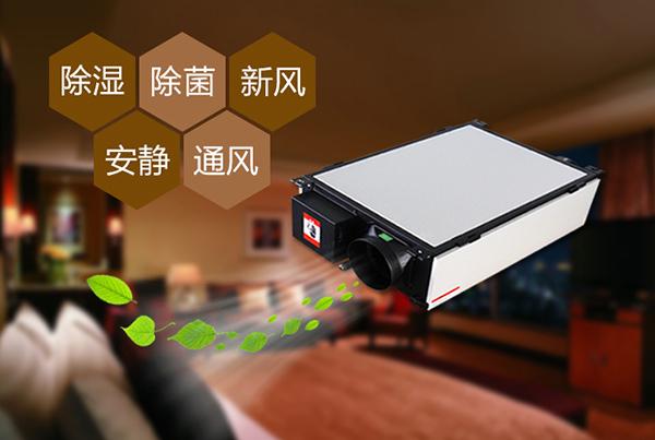 欧美黄色电影在线播放 加湿机使用不当会引起“加湿机肺炎”