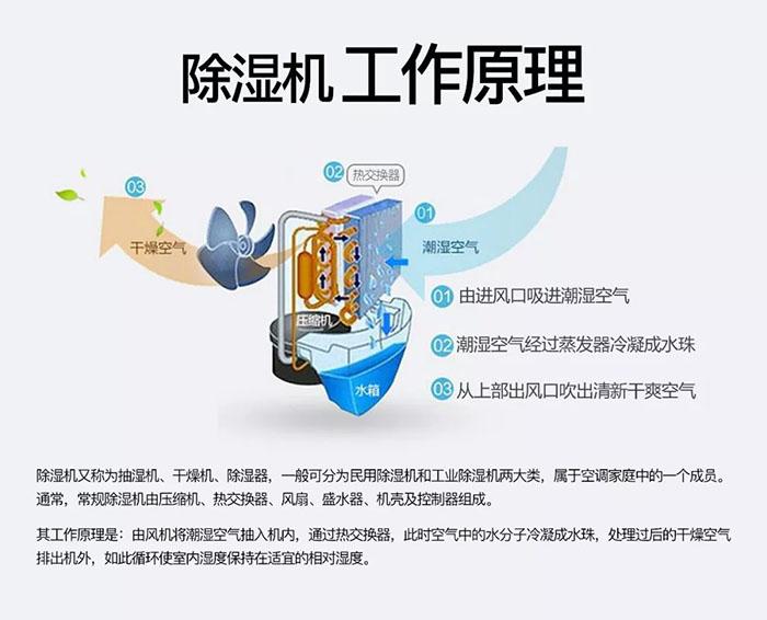 欧美成色手机在线观看 南北之争：南方的湿冷比北方的干冷更变态？