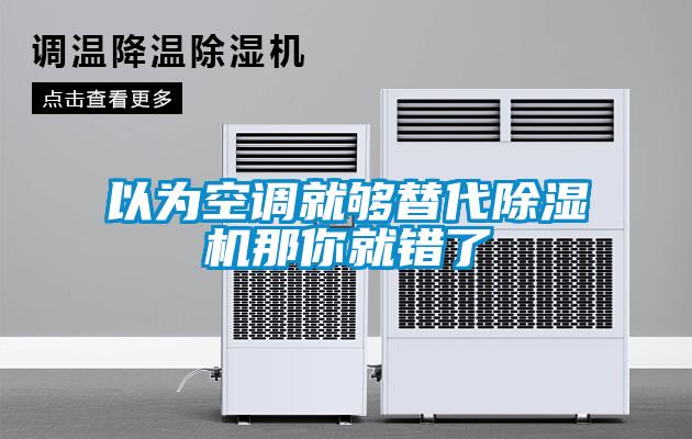 欧美黄色电影在线播放 以为空调就够替代除湿机那你就错了