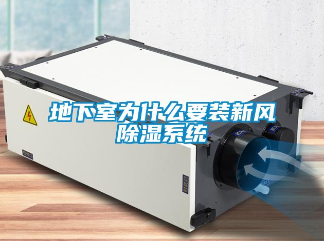 欧美黄色性爱视频网站 地下室为什么要装新风除湿系统