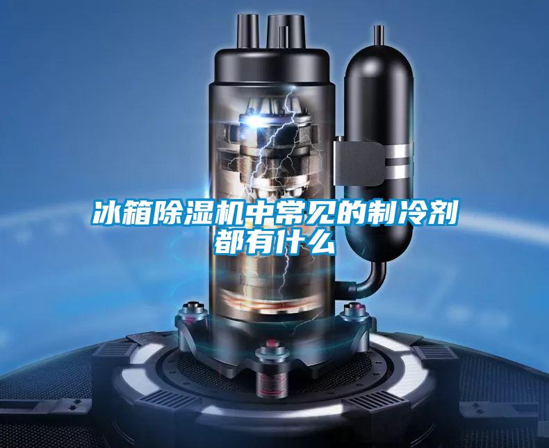欧美黄色电影在线播放 冰箱除湿机中常见的制冷剂都有什么
