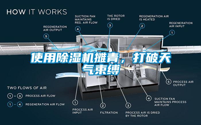 欧美黄色电影在线播放 使用除湿机摊青，打破天气束缚