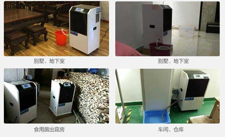 欧美成色手机在线观看 养蛇的湿度要求
