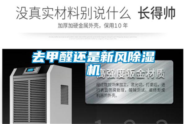 欧美黄色性爱视频网站 去甲醛还是新风除湿机