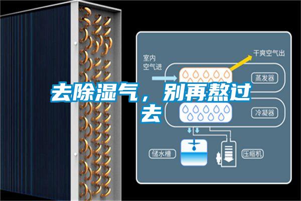 欧美黄色电影在线播放 去除湿气，别再熬过去