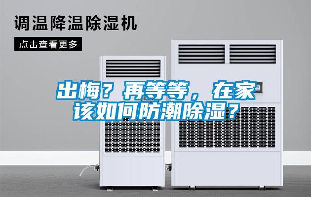 欧美黄色性爱视频网站 出梅？再等等，在家该如何防潮除湿？