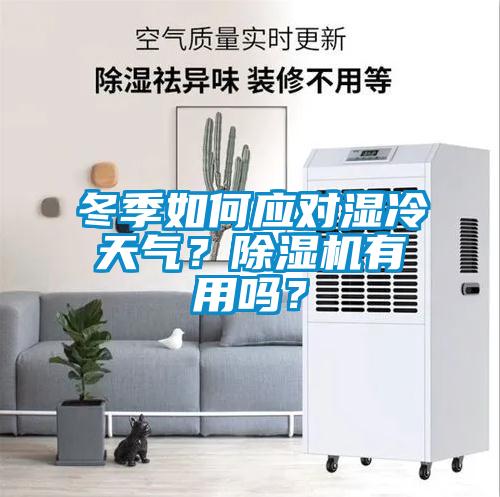 冬季如何应对湿冷天气？除湿机有用吗？