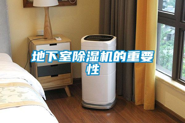欧美黄色性爱视频网站 地下室除湿机的重要性