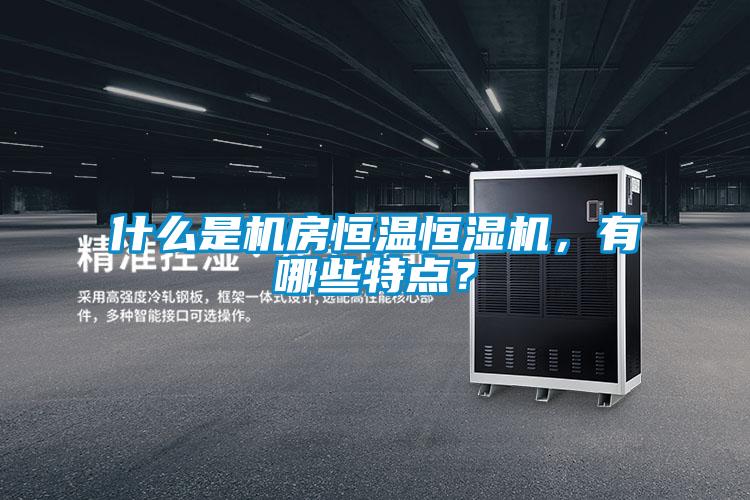 欧美黄色性爱视频网站 什么是机房恒温恒湿机，有哪些特点？