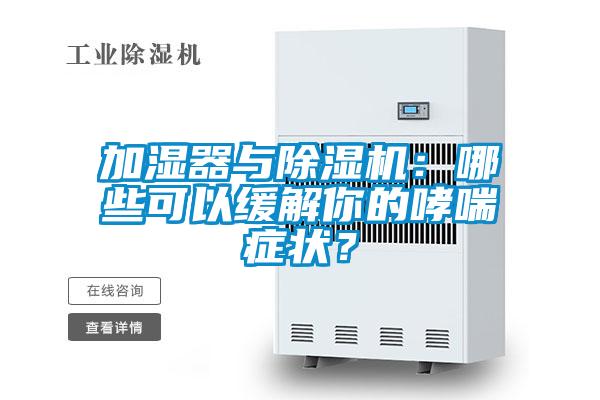 欧美成色手机在线观看 加湿器与除湿机：哪些可以缓解你的哮喘症状？