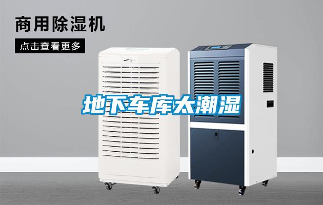 欧美黄色性爱视频网站 地下车库太潮湿