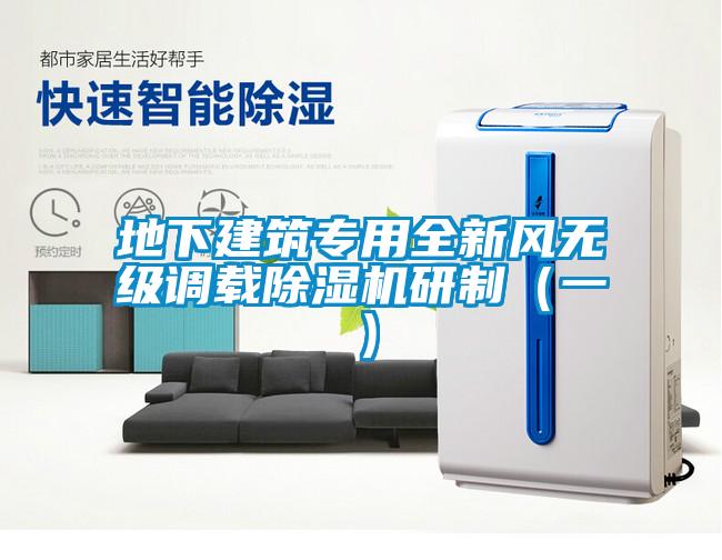欧美黄色性爱视频网站 地下建筑专用全新风无级调载除湿机研制（一）