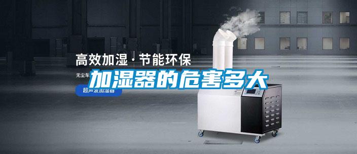 欧美黄色性爱视频网站 加湿器的危害多大